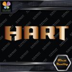 Compatible Hart Tools Chainsaws Lawn Garden Name Only Logo Decals Stickers Vinyl - Image 19