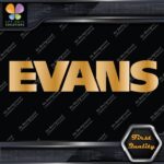 Compatible Evans Drumheads Drums Marching Band Musical Vinyl Decals Stickers - Image 17