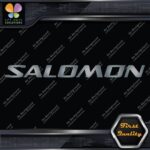 Compatible Salomon Sports Skis Snowboards Name Only Decals Stickers Vinyl - Image 18