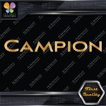 Compatible Campion Boats Name Only Emblem Logo Decals Stickers Vinyl - Image 18