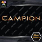 Compatible Campion Boats Name Only Emblem Logo Decals Stickers Vinyl - Image 19